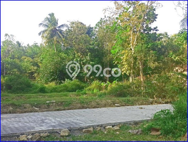 PROMO TERBATAS! Rumah Berkualitas area Panjatan, Kulon Progo, LT 186m² Bangunan 65m² PROMO TERBATAS! Rumah Berkualitas area Panjatan, Kulon Progo, LT 186m² Bangunan 65m²