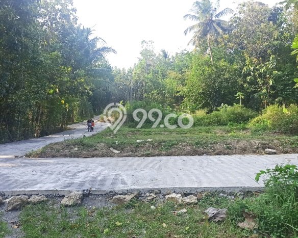Tanah di Panjatan, Luas 192m², Dekat Jalan Raya, Area Prospektif Tanah di Panjatan, Luas 192m², Dekat Jalan Raya, Area Prospektif