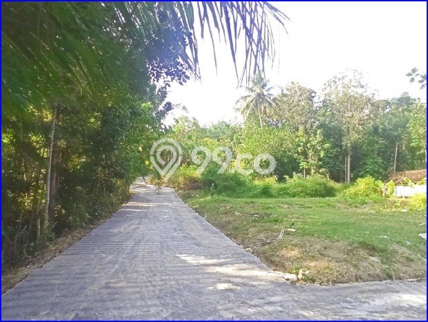Hunian Mewah LT 179m² / LB 50m² di Kawasan Nyaman Panjatan, Kulon Progo Hunian Mewah LT 179m² / LB 50m² di Kawasan Nyaman Panjatan, Kulon Progo