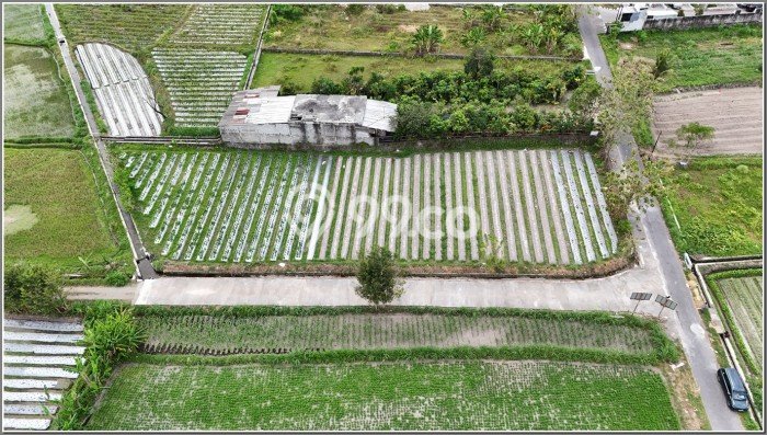 Tanah Kavling Dijual di Yogyakarta dengan Spesifikasi 287m2 Tanah Kavling Dijual di Yogyakarta dengan Spesifikasi 287m2