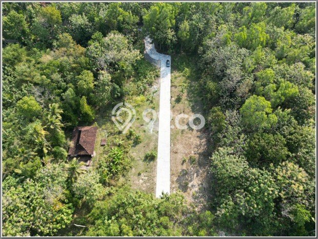 Siap Huni Rumah Minimalis & Modern LB 50m2 di Kulonprogo Siap Huni Rumah Minimalis & Modern LB 50m2 di Kulonprogo