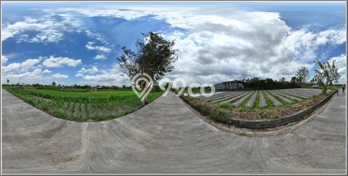 Tanah Kavling Dijual di Yogyakarta dengan Spesifikasi 287m2 Tanah Kavling Dijual di Yogyakarta dengan Spesifikasi 287m2