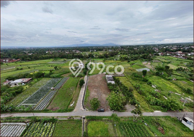 Tanah Kavling Dijual di Yogyakarta dengan Spesifikasi 287m2 Tanah Kavling Dijual di Yogyakarta dengan Spesifikasi 287m2