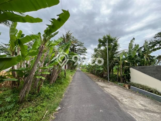 Untuk Dijual Tanah 105m2 di Sleman, Yogyakarta Untuk Dijual Tanah 105m2 di Sleman, Yogyakarta
