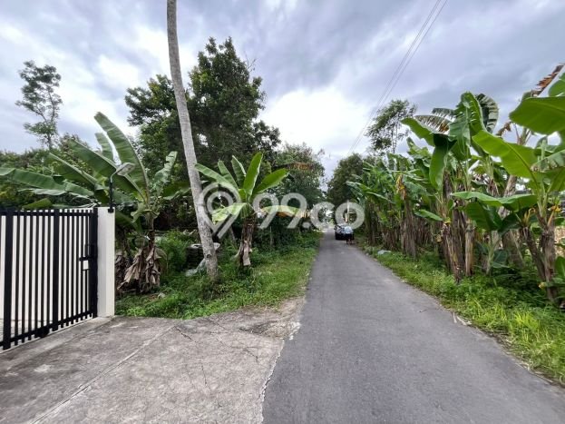 Untuk Dijual Tanah 105m2 di Sleman, Yogyakarta Untuk Dijual Tanah 105m2 di Sleman, Yogyakarta