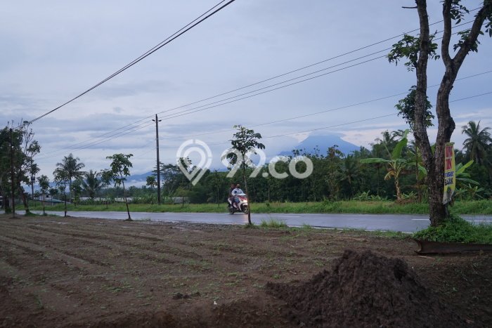 Jual Rumah Harga Miring Magelang Tengah Punya 2 KT & LT 88m2 Jual Rumah Harga Miring Magelang Tengah Punya 2 KT & LT 88m2