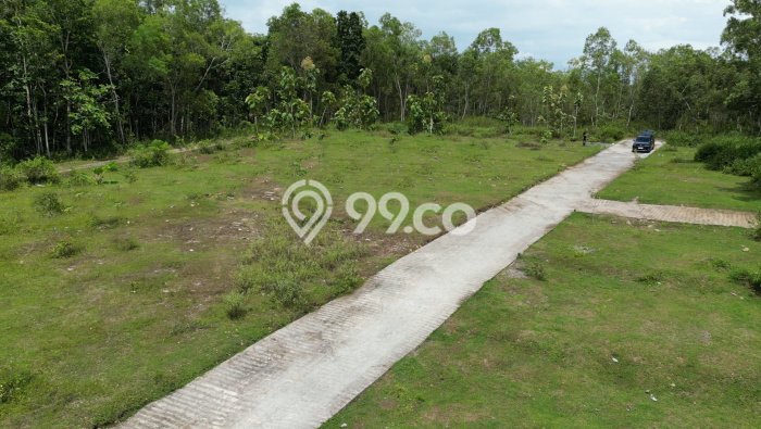 Tanah Kavling Dijual di Kulonprogo, Yogyakarta dengan Luas Tanah 1026m2 Tanah Kavling Dijual di Kulonprogo, Yogyakarta dengan Luas Tanah 1026m2