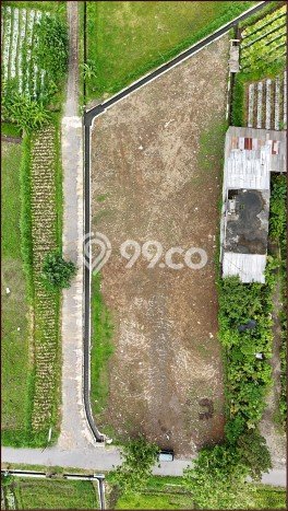 Tanah Kavling Dijual di Yogyakarta dengan Spesifikasi 287m2 Tanah Kavling Dijual di Yogyakarta dengan Spesifikasi 287m2