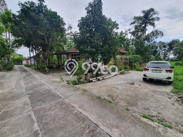 Untuk Dijual Tanah 181m2 di Kulonprogo, Yogyakarta Untuk Dijual Tanah 181m2 di Kulonprogo, Yogyakarta