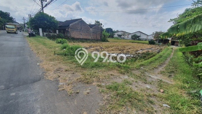 Tanah Dijual Lokasi Sleman, Sleman Luas 144m2 Legalitas Aman Tanah Dijual Lokasi Sleman, Sleman Luas 144m2 Legalitas Aman
