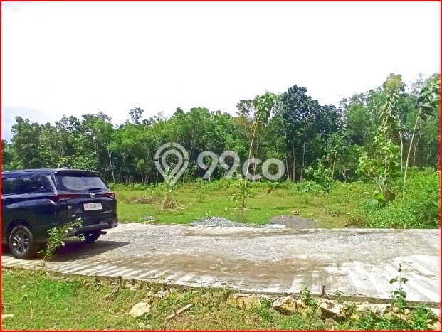 HARGA MENARIK! Tanah di Panjatan, Luas 138m², Area Asri HARGA MENARIK! Tanah di Panjatan, Luas 138m², Area Asri