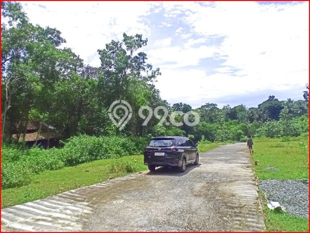 HARGA MENARIK! Tanah di Panjatan, Luas 138m², Area Asri HARGA MENARIK! Tanah di Panjatan, Luas 138m², Area Asri