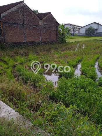 Tanah di Kulonprogo, Luas 144m², Dekat Kulonprogo, Kulon Progo, Kulon Progo Tanah di Kulonprogo, Luas 144m², Dekat Kulonprogo, Kulon Progo, Kulon Progo