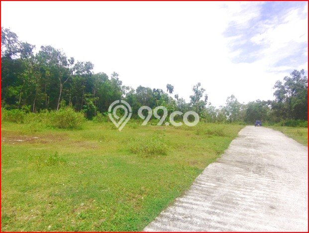 HARGA MENARIK! Tanah di Panjatan, Luas 138m², Area Asri HARGA MENARIK! Tanah di Panjatan, Luas 138m², Area Asri