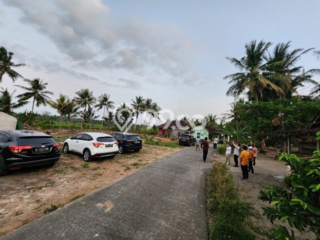Tanah Dijual Lokasi Pengasih, Kulon Progo dengan Luas Tanah 128m2 dan Status SHM Tanah Dijual Lokasi Pengasih, Kulon Progo dengan Luas Tanah 128m2 dan Status SHM