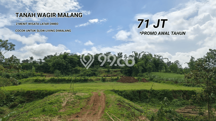 Tanah Kosong Dijual di Malang dengan Area 60m2 Tanah Kosong Dijual di Malang dengan Area 60m2