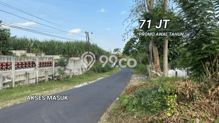 Tanah Kosong Dijual di Malang dengan Area 60m2 Tanah Kosong Dijual di Malang dengan Area 60m2