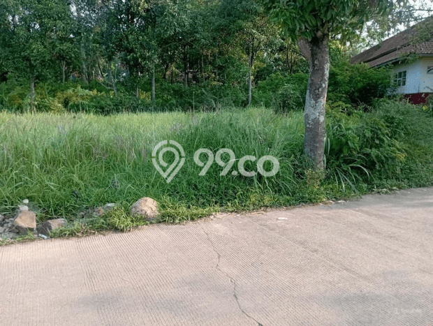 Tanah di Ciparay, Bandung Luas 197m2 Dijual Segera Tanah di Ciparay, Bandung Luas 197m2 Dijual Segera