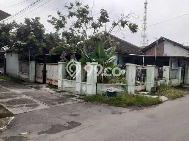 Rumah Modern Minimalis 3 Kamar Siap Huni di Pajang Rumah Modern Minimalis 3 Kamar Siap Huni di Pajang