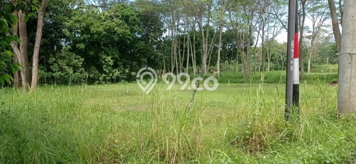 Dijual Tanah di Karanganyar, Luas 55000m², Dekat Karanganyar, Karanganyar, Karanganyar Dijual Tanah di Karanganyar, Luas 55000m², Dekat Karanganyar, Karanganyar, Karanganyar