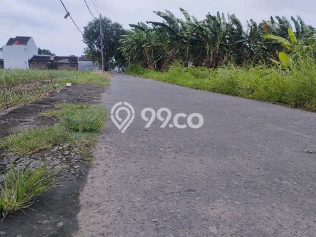 Tanah Dijual Lokasi Ngemplak, Boyolali Luas 4780m2 Legalitas Aman Tanah Dijual Lokasi Ngemplak, Boyolali Luas 4780m2 Legalitas Aman