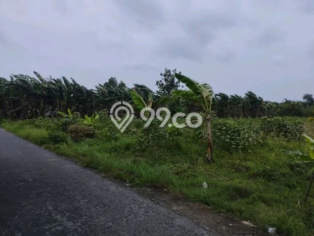 Tanah Dijual Lokasi Ngemplak, Boyolali Luas 4780m2 Legalitas Aman Tanah Dijual Lokasi Ngemplak, Boyolali Luas 4780m2 Legalitas Aman
