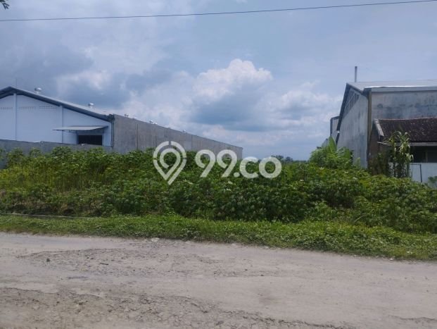 Kavling Tanah di Sukoharjo Dijual Luas 6000m2 Legalitas SHM Kavling Tanah di Sukoharjo Dijual Luas 6000m2 Legalitas SHM