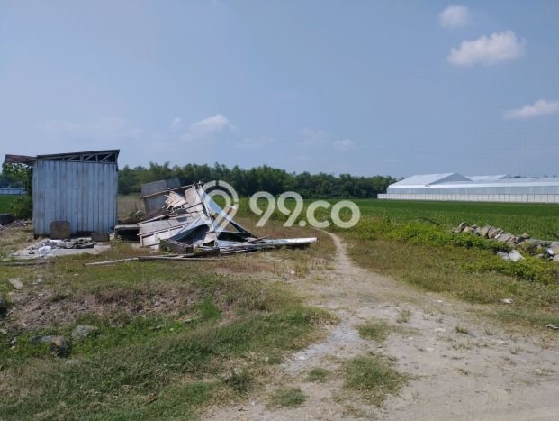 Jual Tanah Kawasan Kartasura, Luas 1860m², Lokasi Potensial, Kontur Rata Jual Tanah Kawasan Kartasura, Luas 1860m², Lokasi Potensial, Kontur Rata