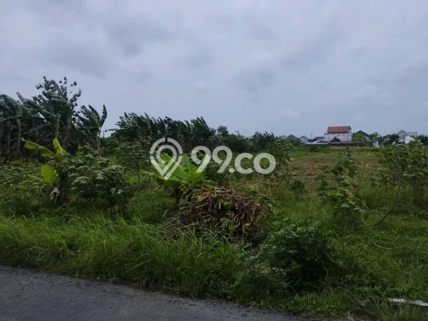 Tanah Dijual Lokasi Ngemplak, Boyolali Luas 4780m2 Legalitas Aman Tanah Dijual Lokasi Ngemplak, Boyolali Luas 4780m2 Legalitas Aman