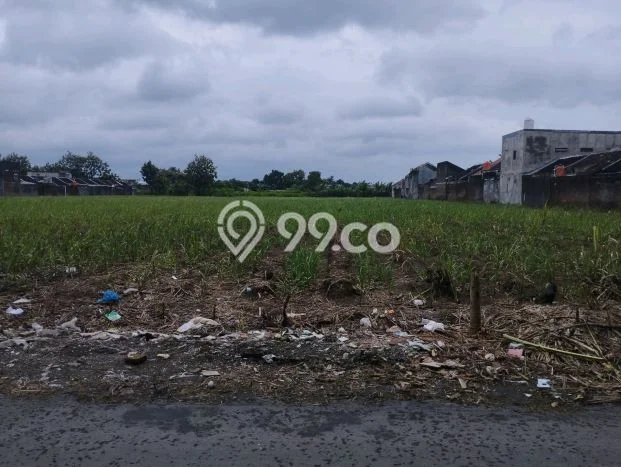 Tanah Dijual Lokasi Ngemplak, Boyolali Luas 4780m2 Legalitas Aman Tanah Dijual Lokasi Ngemplak, Boyolali Luas 4780m2 Legalitas Aman