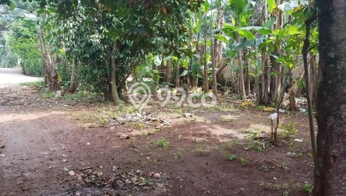 Kavling Tanah di Jatisampurna Dijual Luas 1458m2 Legalitas SHM Kavling Tanah di Jatisampurna Dijual Luas 1458m2 Legalitas SHM