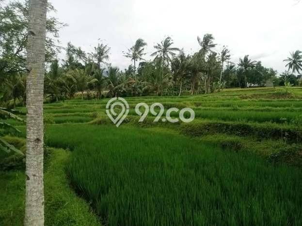 Tanah untuk Dijual di Glagah Banyuwangi Luas 650m2 Tanah untuk Dijual di Glagah Banyuwangi Luas 650m2