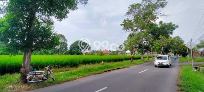 Tanah untuk Dijual Lokasi Blimbingsari, Banyuwangi Luas 8410m2 SHM Tanah untuk Dijual Lokasi Blimbingsari, Banyuwangi Luas 8410m2 SHM