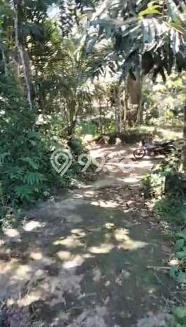Lahan untuk Dijual di Giri Banyuwangi Luas 1300m2 Lahan untuk Dijual di Giri Banyuwangi Luas 1300m2