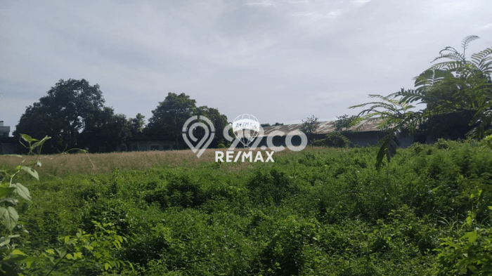 Tanah di Kabat, Banyuwangi Luas 22638m2 Dijual Segera Tanah di Kabat, Banyuwangi Luas 22638m2 Dijual Segera