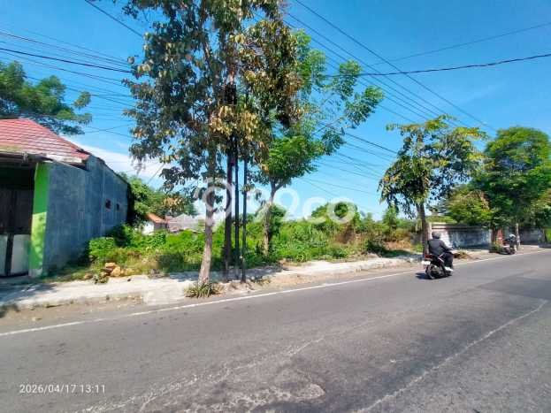 Tanah Kosong Dijual di Banyuwangi dengan Area 800m2 Tanah Kosong Dijual di Banyuwangi dengan Area 800m2