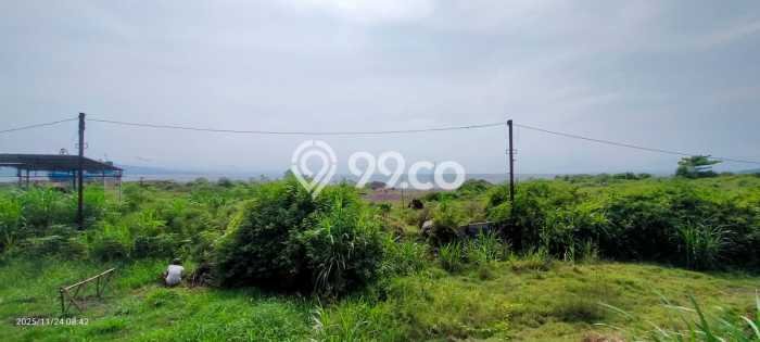 Tanah di Blimbingsari, Banyuwangi Luas 60000m2 Dijual Segera Tanah di Blimbingsari, Banyuwangi Luas 60000m2 Dijual Segera
