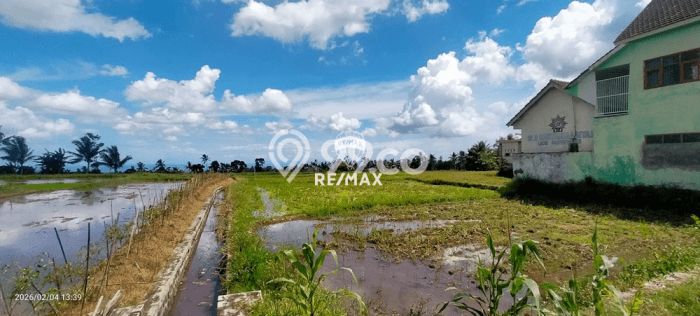 Tanah Komersial Dijual di Licin Banyuwangi 3690m2 Tanah Komersial Dijual di Licin Banyuwangi 3690m2
