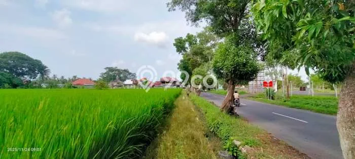 Tanah untuk Dijual Lokasi Blimbingsari, Banyuwangi Luas 8410m2 SHM Tanah untuk Dijual Lokasi Blimbingsari, Banyuwangi Luas 8410m2 SHM
