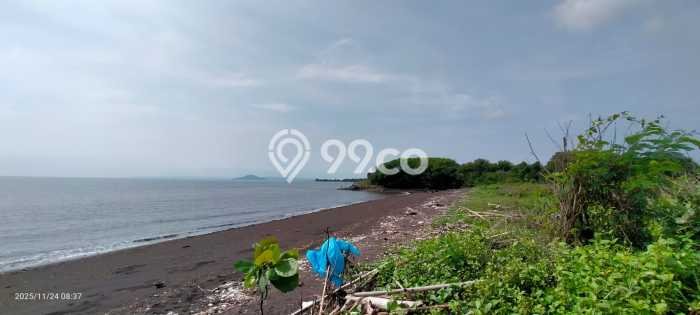 Tanah di Blimbingsari, Banyuwangi Luas 60000m2 Dijual Segera Tanah di Blimbingsari, Banyuwangi Luas 60000m2 Dijual Segera