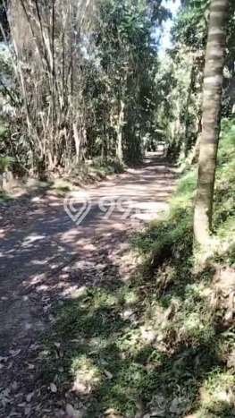 Lahan untuk Dijual di Giri Banyuwangi Luas 1300m2 Lahan untuk Dijual di Giri Banyuwangi Luas 1300m2