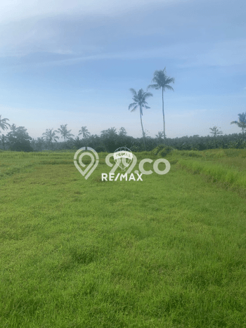 Tanah Dijual Lokasi Glagah, Banyuwangi Luas 5000m2 Legalitas Aman Tanah Dijual Lokasi Glagah, Banyuwangi Luas 5000m2 Legalitas Aman