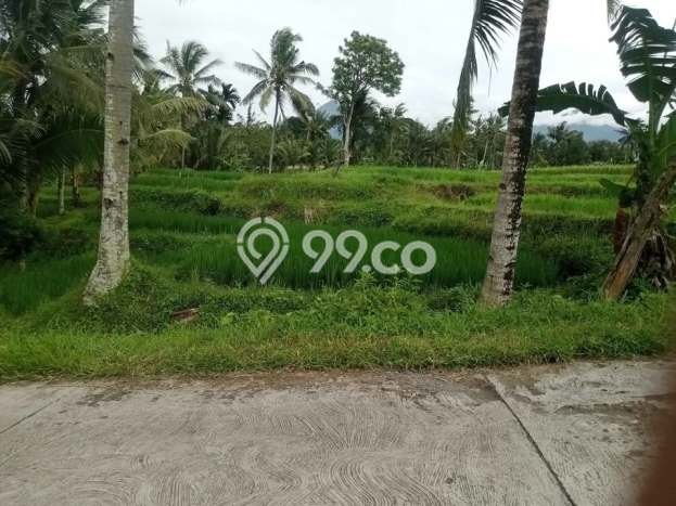 Tanah untuk Dijual di Glagah Banyuwangi Luas 650m2 Tanah untuk Dijual di Glagah Banyuwangi Luas 650m2