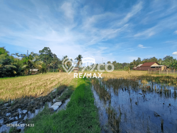 Tanah Kavling untuk Dijual di Glagah Banyuwangi 900m2 Tanah Kavling untuk Dijual di Glagah Banyuwangi 900m2