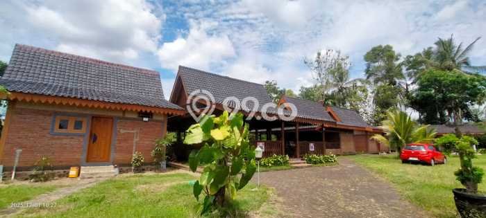 Komersial Dijual di Glagah Banyuwangi dengan LB 200m2 Komersial Dijual di Glagah Banyuwangi dengan LB 200m2