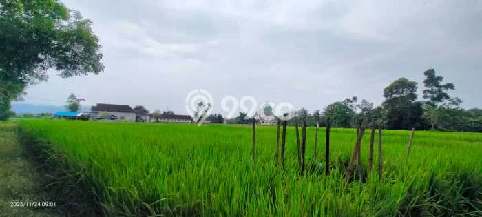 Tanah untuk Dijual Lokasi Blimbingsari, Banyuwangi Luas 8410m2 SHM Tanah untuk Dijual Lokasi Blimbingsari, Banyuwangi Luas 8410m2 SHM