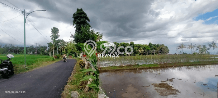 Tanah Komersial Dijual di Licin Banyuwangi 3690m2 Tanah Komersial Dijual di Licin Banyuwangi 3690m2