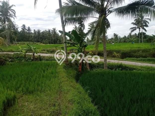 Tanah untuk Dijual di Glagah Banyuwangi Luas 650m2 Tanah untuk Dijual di Glagah Banyuwangi Luas 650m2