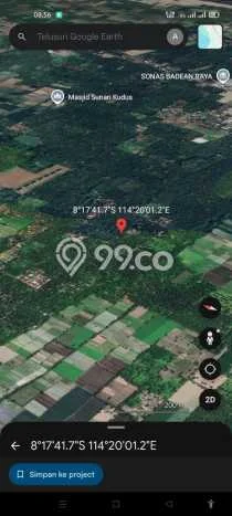Untuk Dijual Tanah di Kabat Banyuwangi Luas 30000m2 SHM Untuk Dijual Tanah di Kabat Banyuwangi Luas 30000m2 SHM