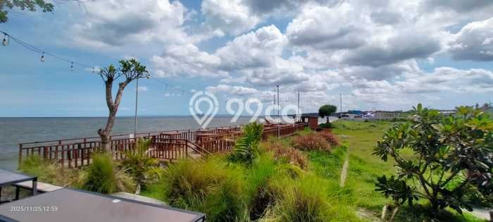 Kavling Tanah Dijual di Blimbingsari Banyuwangi Spesifikasi 40000m2 Kavling Tanah Dijual di Blimbingsari Banyuwangi Spesifikasi 40000m2